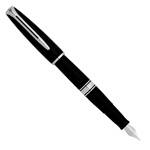 Перьевая ручка Waterman Charleston Black CT (S0701030)