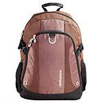 Рюкзак Swisswin SWB0011 brown