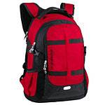 Рюкзак Swisswin SW8350N red